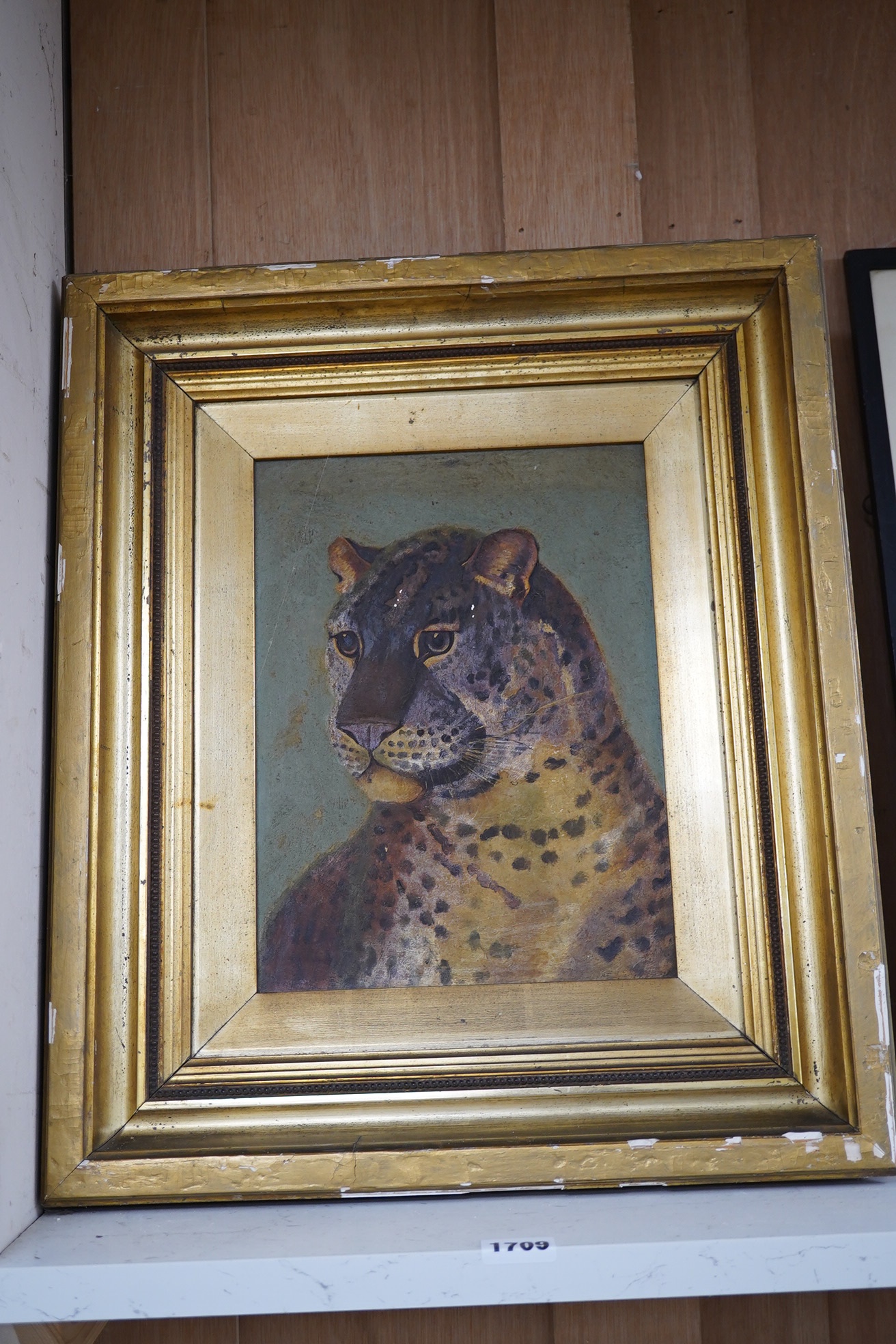 Early 20th century, oil on board, Study of a Leopard, unsigned, 29 x 21cm, gilt framed. Condition - poor to fair